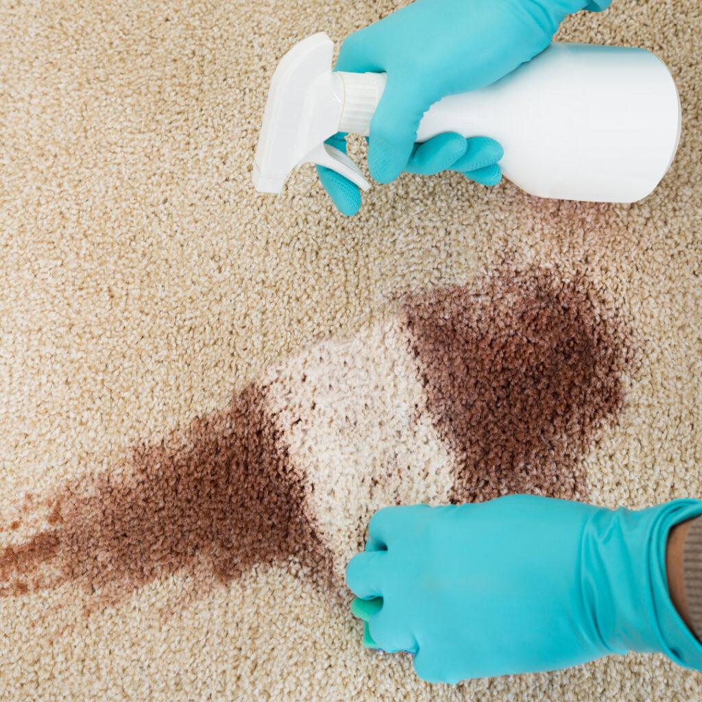 Teppichbodenreinigung - Flecken selber entfernen